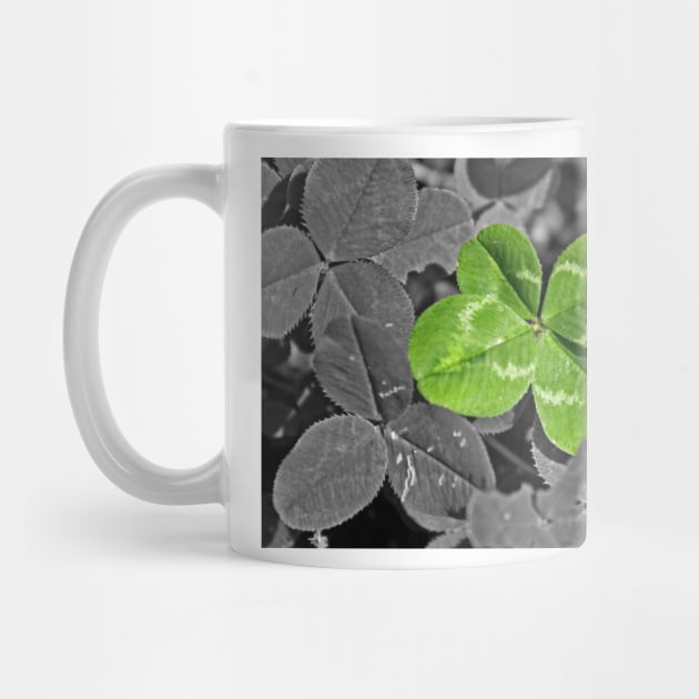 Lucky Four leaf Clover by Furtographic